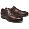 Buty skateboardowe Edgeworth „Brązowe”